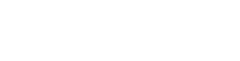 VOLTEIQ Logo